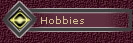 Hobbies